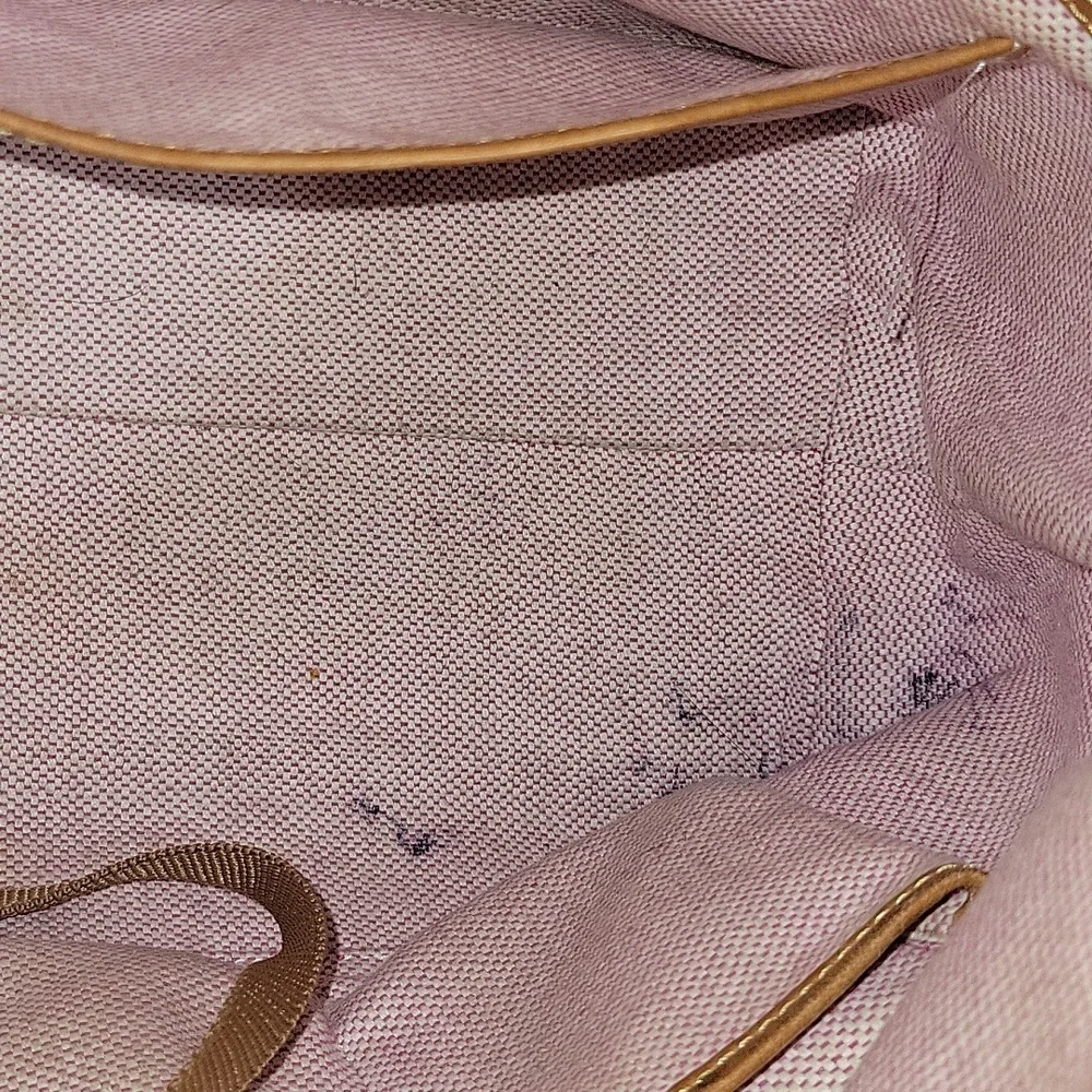 Dooney & Bourke Pink Leather Satchel Handbag with Brown Trim